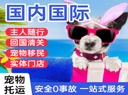 义勒力特航空运输国际宠物托运 【国